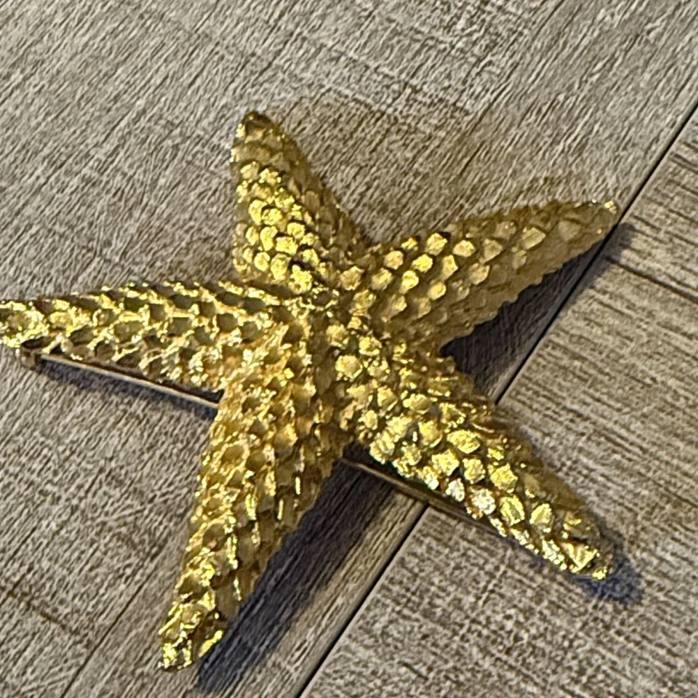 Gold Starfish and Sand Dollar Brooch Bundle